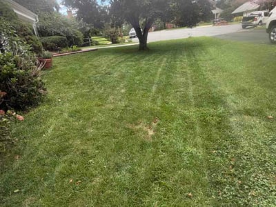 Lawn care service in Arlington, 22207