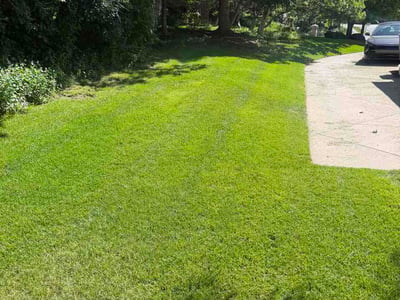 Lawn care service in North Salt Lake, 84054