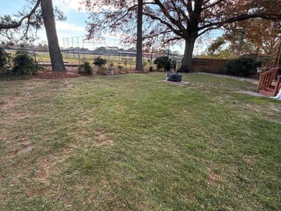Lawn care service in Virginia Beach, 23464