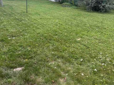 Lawn care service in Janesville, 53545