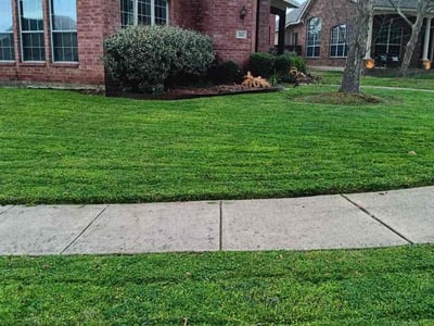 Lawn care service in Garland, 75040
