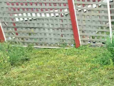 Lawn care service in Tacoma, 98405