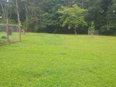 Lawn care service in Seneca, 29678