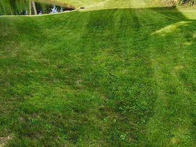 Lawn care service in Akron, 44321