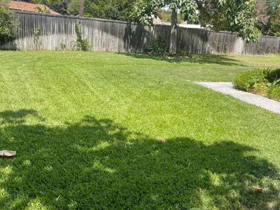 Lawn care service in Dallas, 75238
