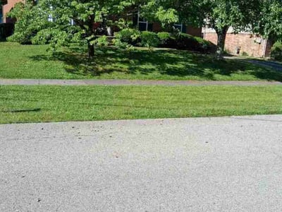 Lawn care service in Louisville, 40299
