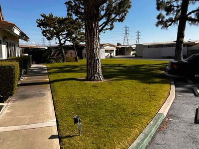 Lawn care service in Stanton, 90680