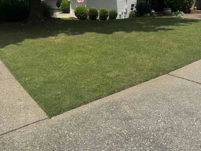 Lawn care service in Canton, 30114