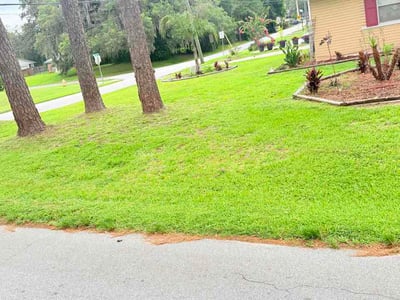 Lawn care service in Jacksonville, 32210