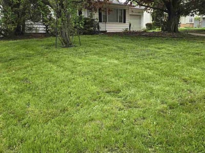 Lawn care service in Waterloo, 50702