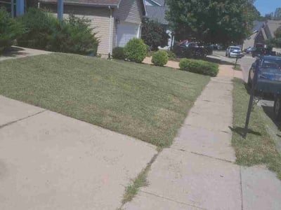Lawn care service in High Ridge, 63049