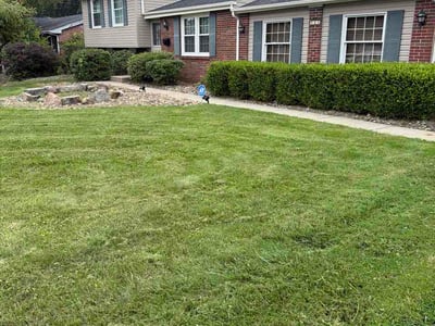 Lawn care service in Campbell, 44405