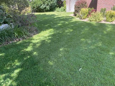 Lawn care service in Idaho Falls, 83404
