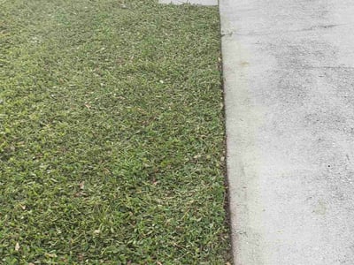Lawn care service in Sarasota, 34237