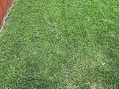 Lawn care service in Pflugerville, 78660