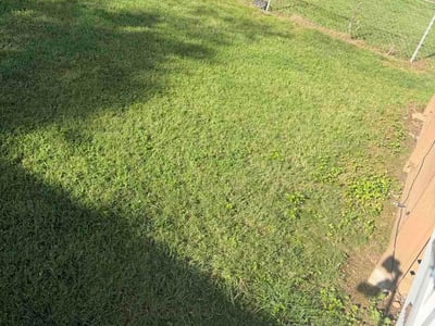 Lawn care service in Arlington, 22204