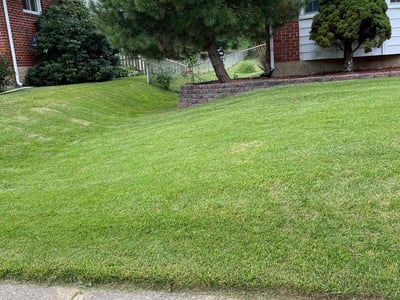 Lawn care service in Parkville, 21234