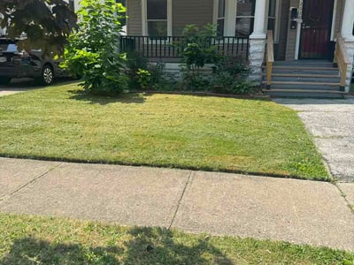Lawn care service in Cleveland, 44120