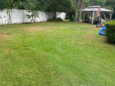 Lawn care service in Orange Park, 32065