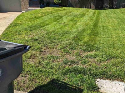 Lawn care service in Olathe, 66062