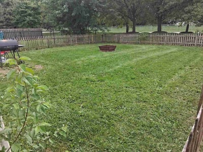 Lawn care service in Noblesville, 46060