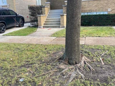 Lawn care service in , 