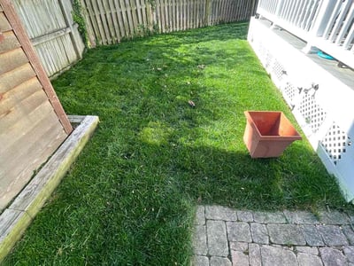 Lawn care service in Arlington, 22201