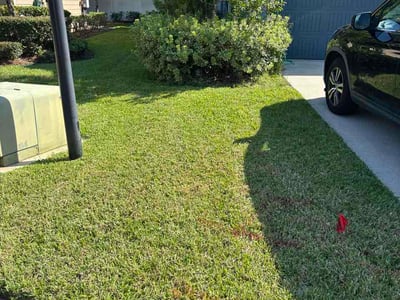 Lawn care service in Fruit Cove, 32259