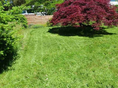 Lawn care service in Portland, 97206