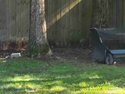 Lawn care service in , 