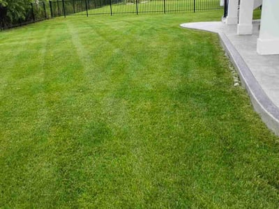 Lawn care service in Corcoran, 55340