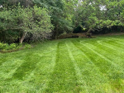 Lawn care service in Cincinnati, 45236