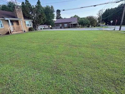 Lawn care service in Maryville, 37803