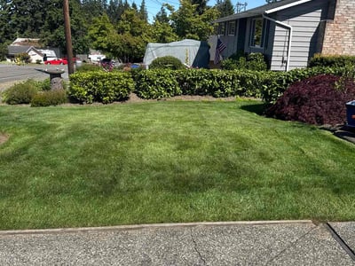 Lawn care service in Everett, 98203
