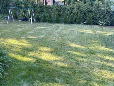 Lawn care service in Randolph, 02368