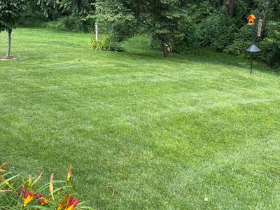 Lawn care service in Omaha, 68142