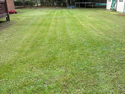 Lawn care service in Florence, 29501