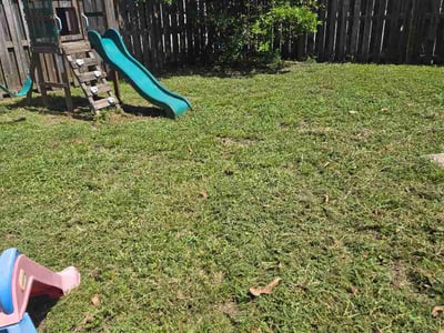 Lawn care service in Jacksonville, 32246