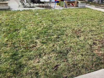 Lawn care service in , 