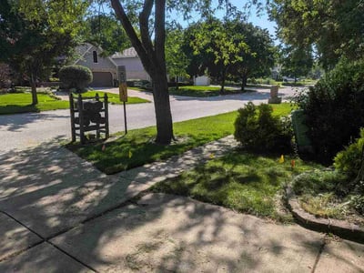 Lawn care service in New Lenox, 60451