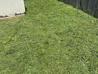 Lawn care service in Virginia Beach, 23454