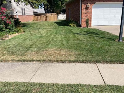 Lawn care service in Swansea, 62226