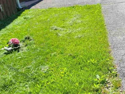 Lawn care service in Lewisberry, 17339