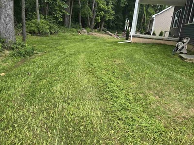 Lawn care service in Penfield, 14526