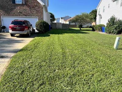 Lawn care service in Suffolk, 23435