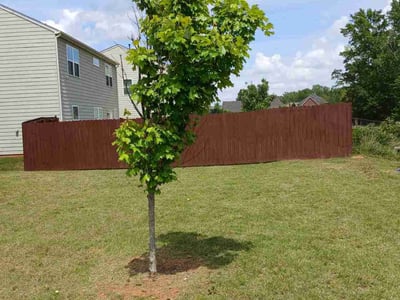 Lawn care service in McDonough, 30253