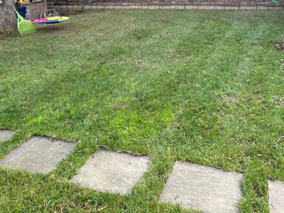 Lawn care service in Charlotte, 28210