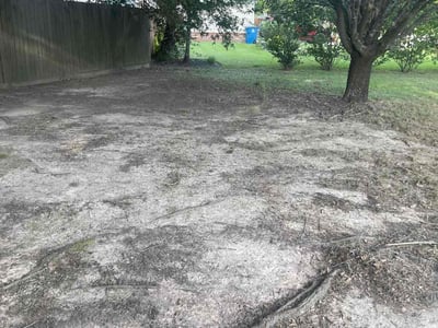 Lawn care service in Conroe, 77302