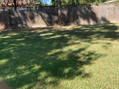 Lawn care service in Conroe, 77385