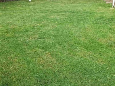 Lawn care service in Little Elm, 75068